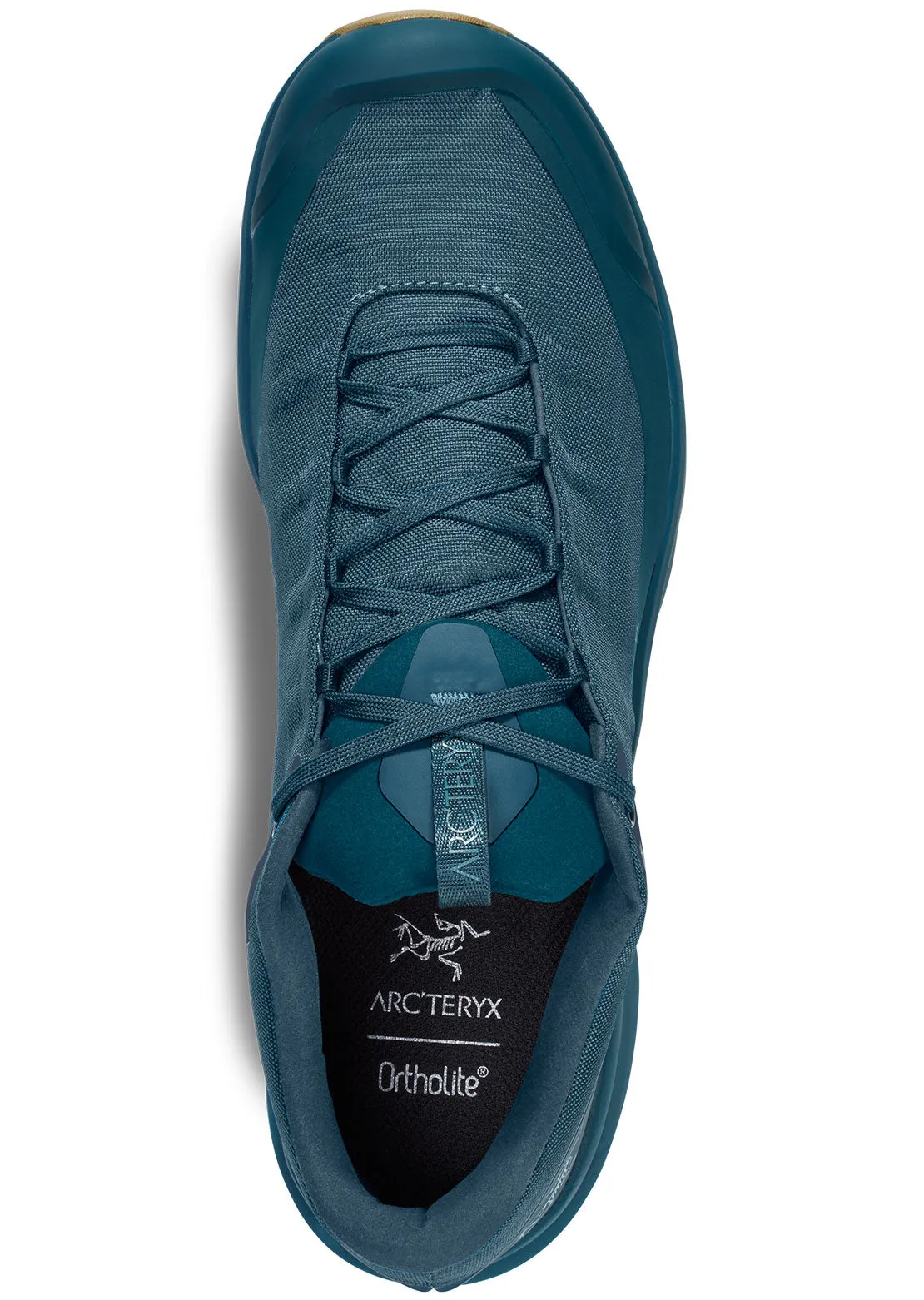 Arc'teryx Men's Aerios FL GORE-TEX Shoes